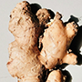 Ginger_cut_final