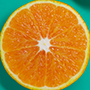 Orange_cut_final