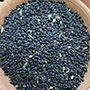basil seed_cut_final