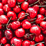 cherry_cut_final