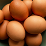 egg_cut_final