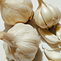 garlic_cut_final