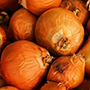 yellow onion_cut_final