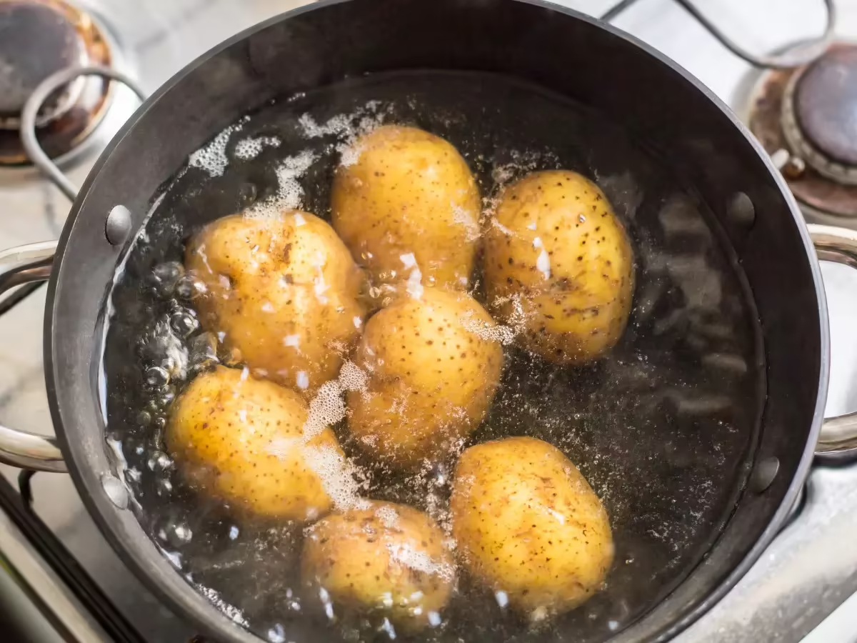 Potato Salad 1