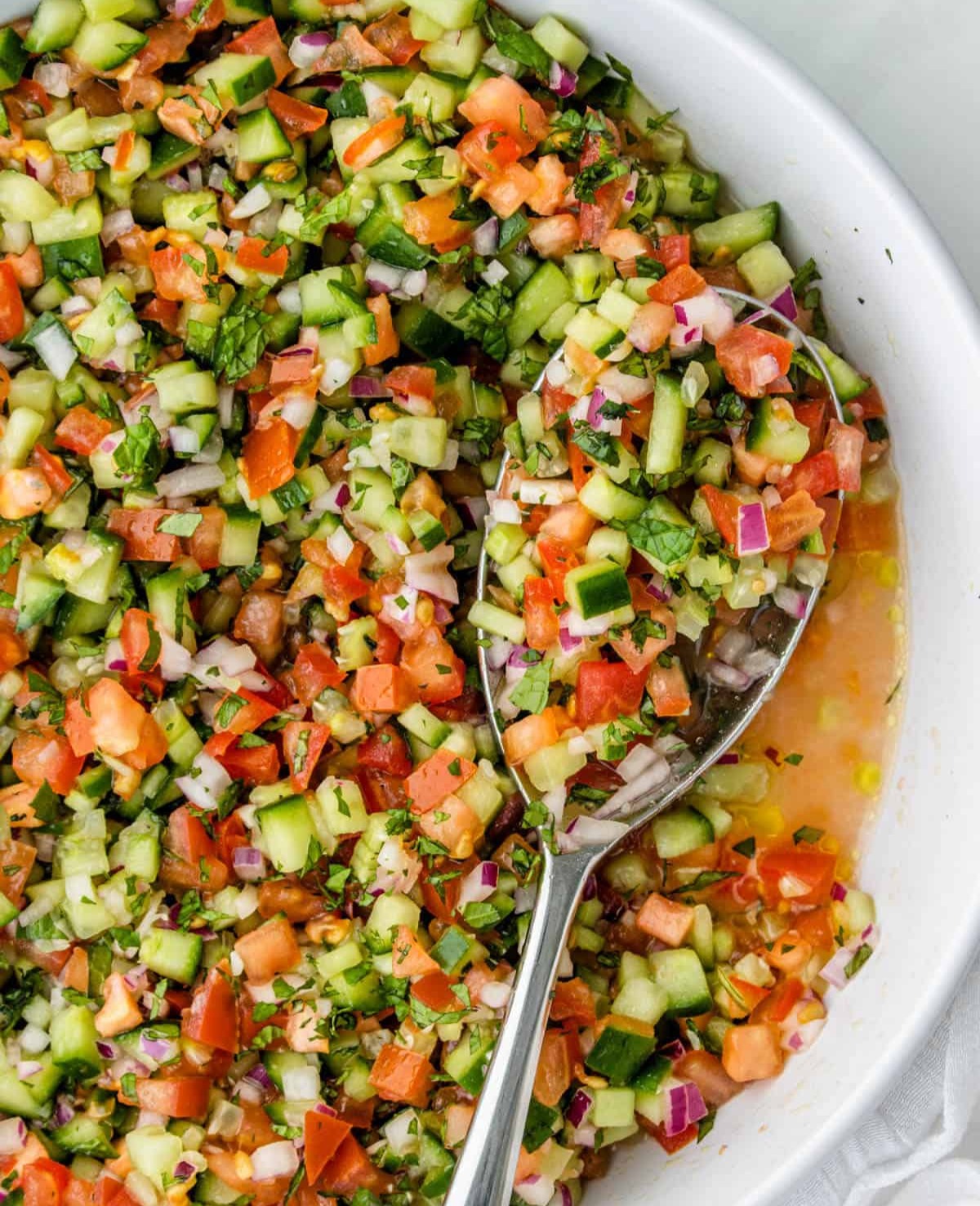 Shirazi Salad 2