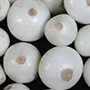 White Onion_cut_final