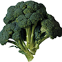 broccoli_cut_final