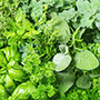 fresh Herb mix_cut_final