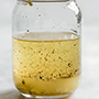 lemon dressing_cut_final