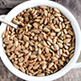 sunflower seeds_cut_final